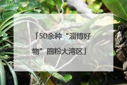 50余种“淄博好物”圈粉大湾区