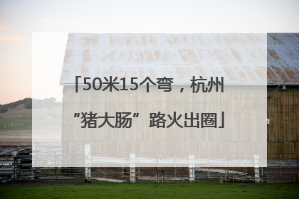 50米15个弯，杭州“猪大肠”路火出圈