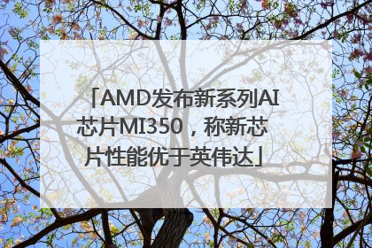 AMD发布新系列AI芯片MI350，称新芯片性能优于英伟达