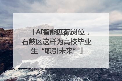 AI智能匹配岗位，石鼓区这样为高校毕业生“职引未来”