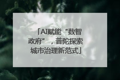 AI赋能“数智政府”，普陀探索城市治理新范式