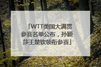 WTT美国大满贯参赛名单公布，孙颖莎王楚钦领衔参赛