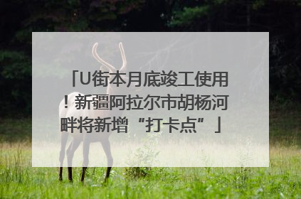 U街本月底竣工使用！新疆阿拉尔市胡杨河畔将新增“打卡点”